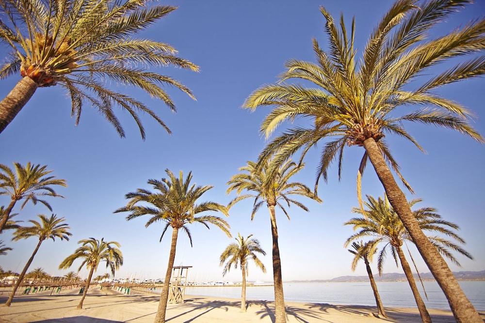 Sahara Nubia Gobi Hotel Ses Cadenes Buitenkant foto Palma de Mallorca