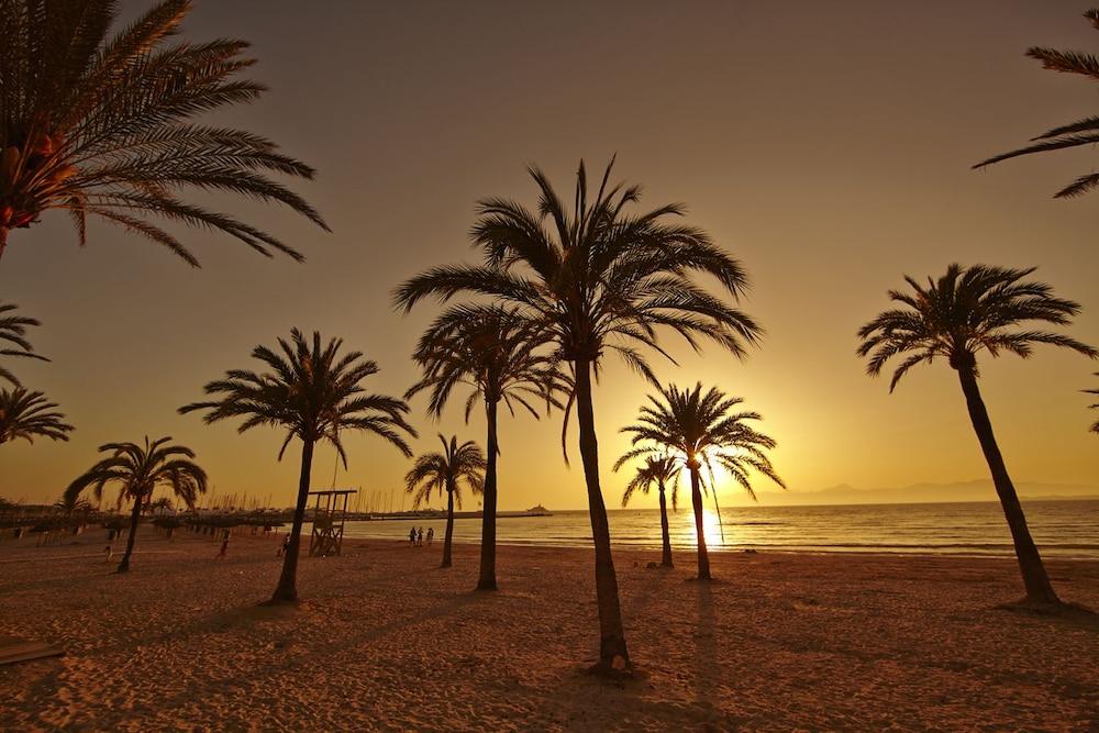 Sahara Nubia Gobi Hotel Ses Cadenes Buitenkant foto Palm trees on the beach at sunset